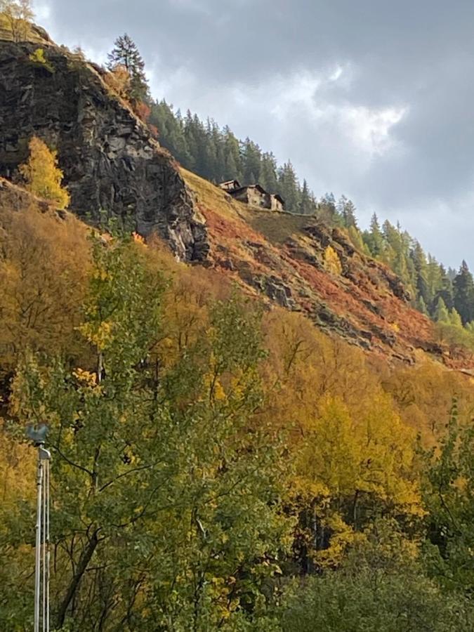 Baita Valtellina. Relax Nel Cuore Delle Alpi Grosio Luaran gambar